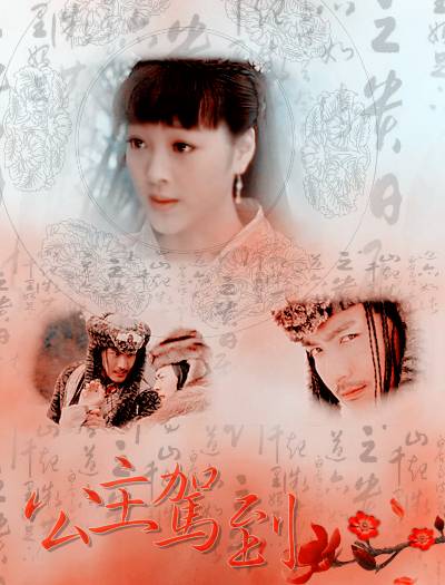 公主驾到（2011年杨志坚执导数字电影）