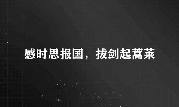 感时思报国，拔剑起蒿莱