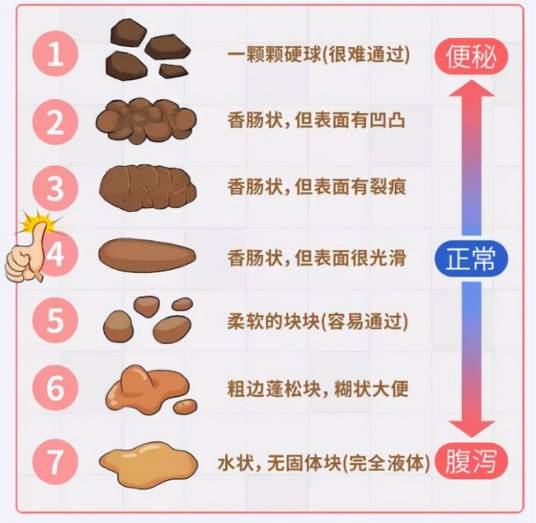 新生儿大便次数