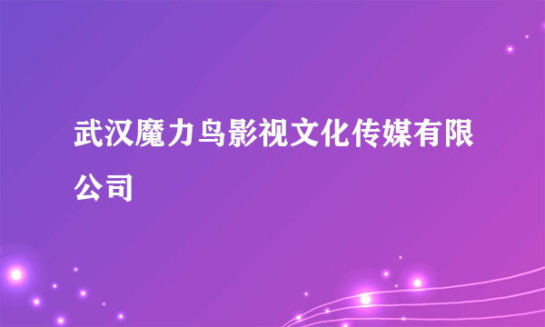 武汉魔力鸟影视文化传媒有限公司