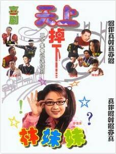 天上掉下个林妹妹（2010年赵小鸥、赵小溪执导的悬疑类电视剧）