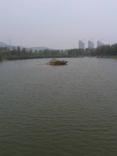 卡达（中国宁夏籍艺术家）