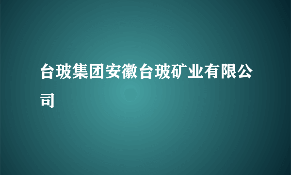 台玻集团安徽台玻矿业有限公司