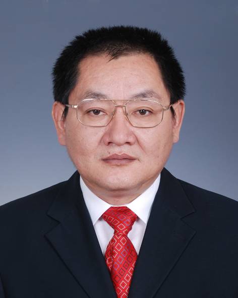 赵德武（河南省郑州市金水区人民政府副区长、党组成员）