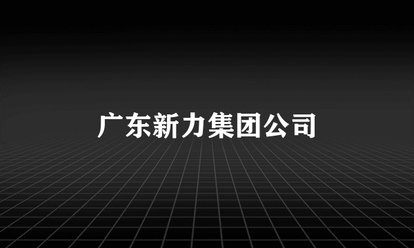 广东新力集团公司