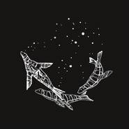 MIDNIGHT（coldplay歌曲）