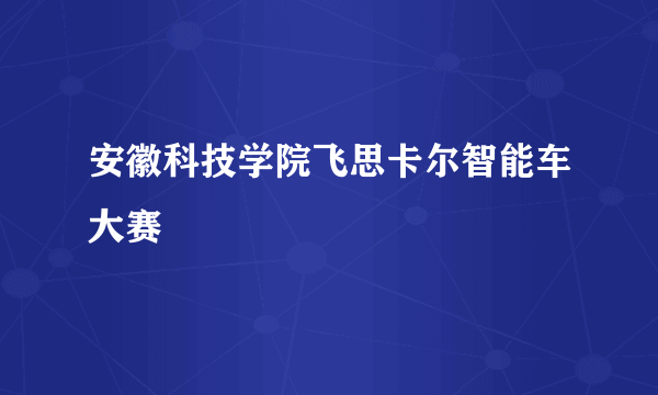 安徽科技学院飞思卡尔智能车大赛