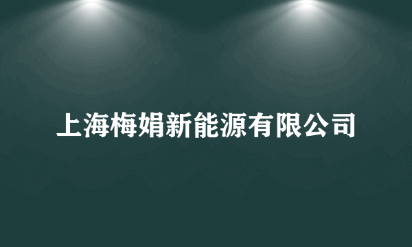 上海梅娟新能源有限公司