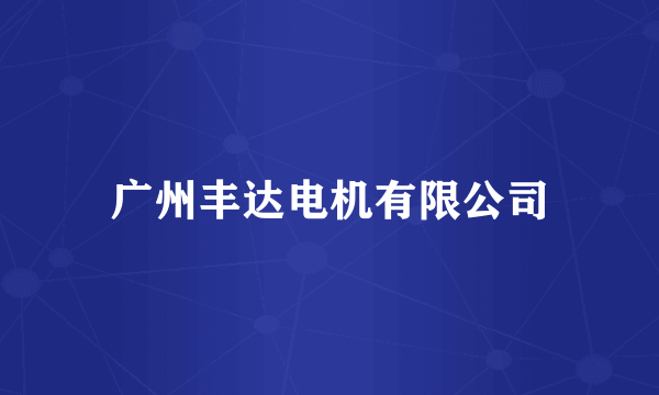 广州丰达电机有限公司