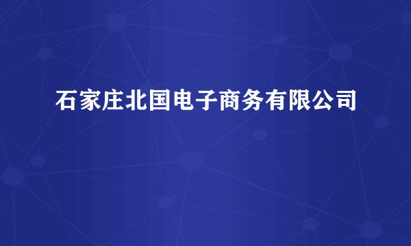 石家庄北国电子商务有限公司