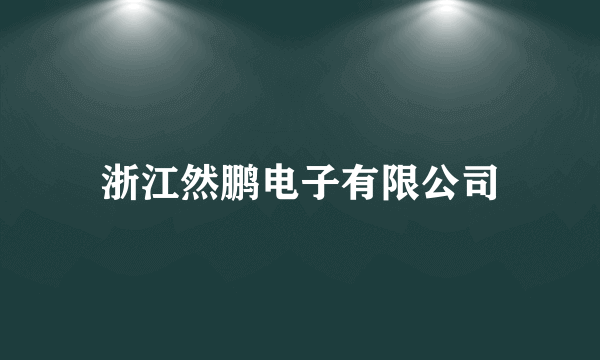 浙江然鹏电子有限公司