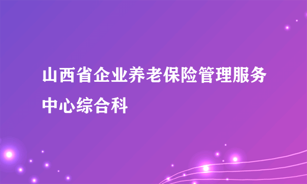 山西省企业养老保险管理服务中心综合科
