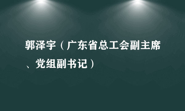 郭泽宇（广东省总工会副主席、党组副书记）