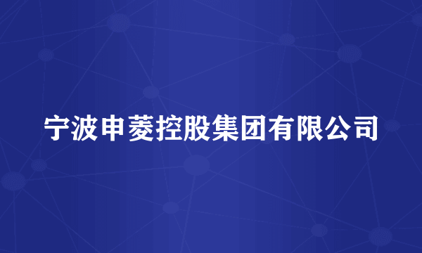 宁波申菱控股集团有限公司