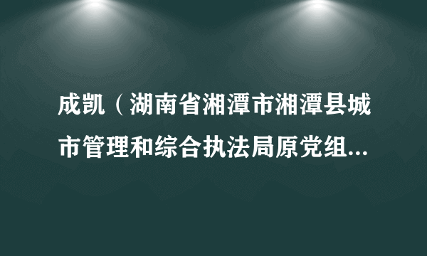 成凯（湖南省湘潭市湘潭县城市管理和综合执法局原党组书记、局长）