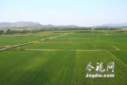 农村土地整治工程