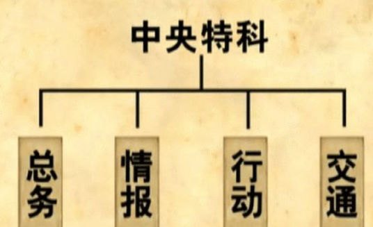 中国共产党中央特别行动科
