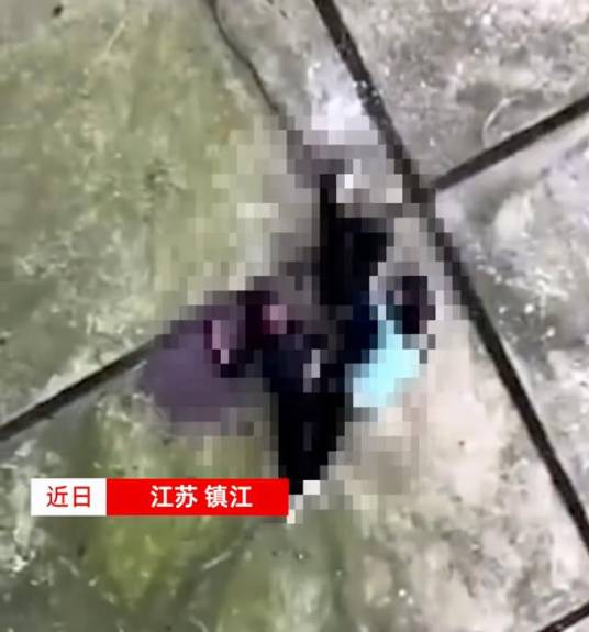 5·18句容坠楼事件