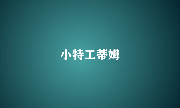 小特工蒂姆