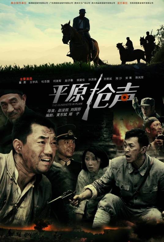 平原枪声（2010年董勇主演电视剧）