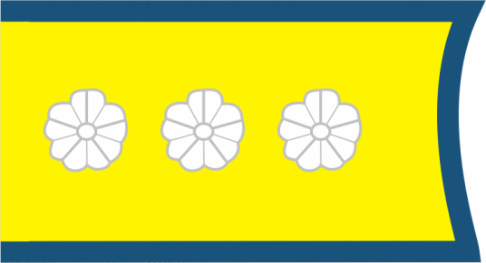 日本海军大将