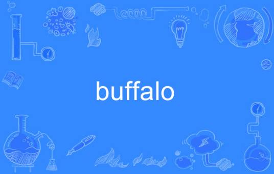 Buffalo（英语单词）