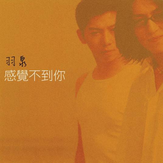 感觉不到你（羽泉首张专辑）