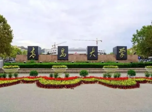 青岛大学化学化工学院