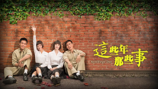 这些年那些事（沈晓海执导电视剧）