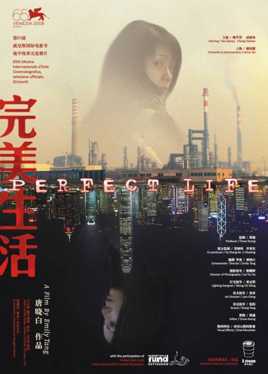 完美生活（2008年唐晓白执导的纪录片）