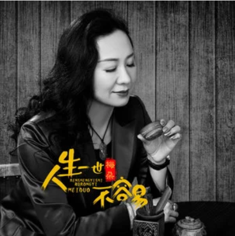 人生一世不容易（梅朵演唱的歌曲）