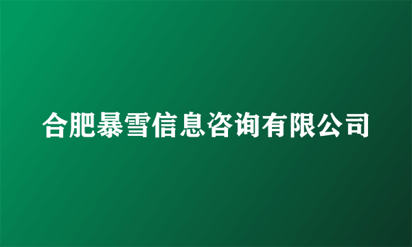 合肥暴雪信息咨询有限公司