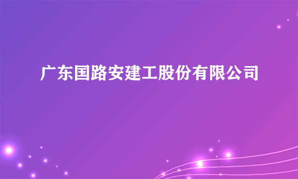 广东国路安建工股份有限公司