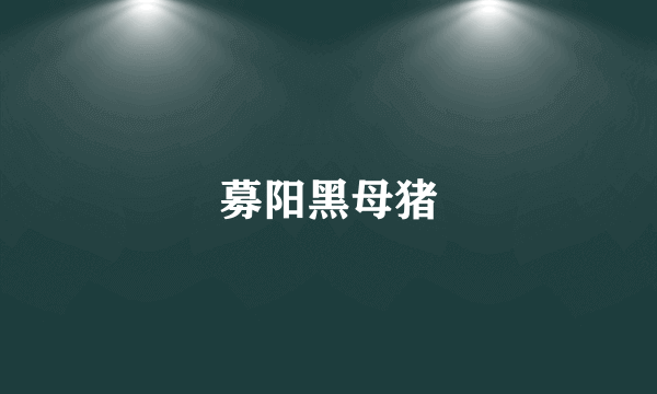 募阳黑母猪