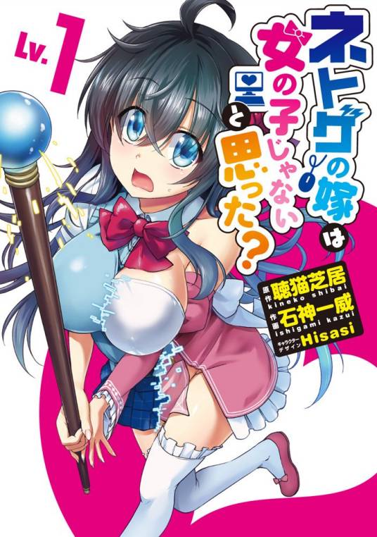 线上游戏的老婆不可能是女生？（石神一威作画的漫画）