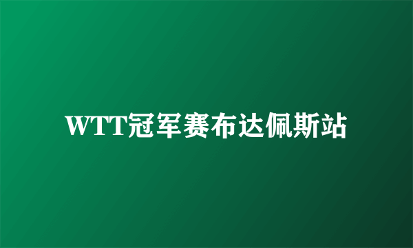 WTT冠军赛布达佩斯站
