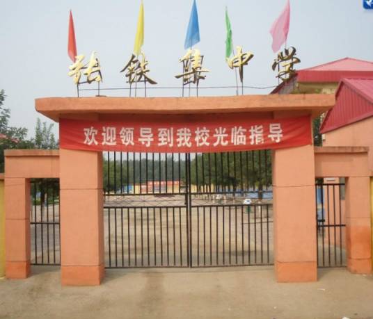 张集中学（河北大名县张集乡中学）