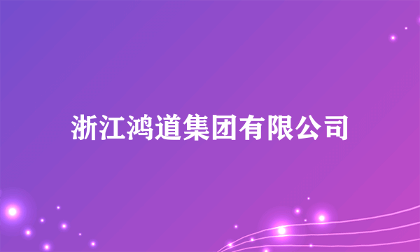 浙江鸿道集团有限公司