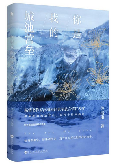 你是我的城池营垒（2017年百花洲文艺出版社出版的图书）