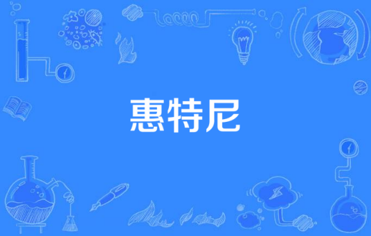 惠特尼（美剧）