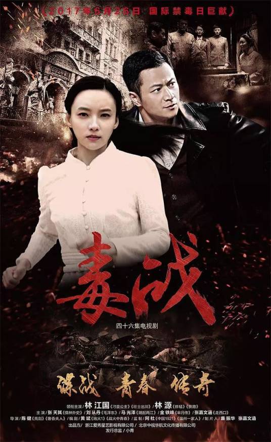 毒战（2016年陈健执导电视剧）