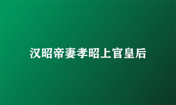 汉昭帝妻孝昭上官皇后