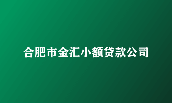 合肥市金汇小额贷款公司