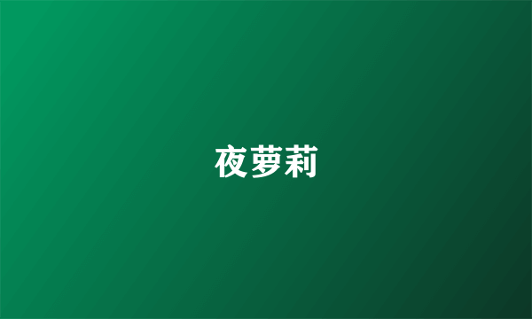 夜萝莉