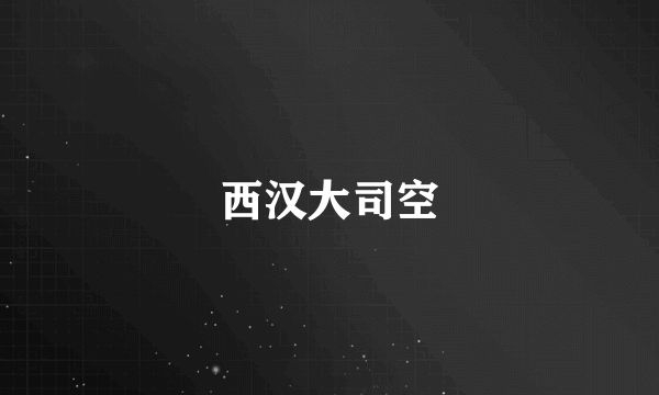 西汉大司空