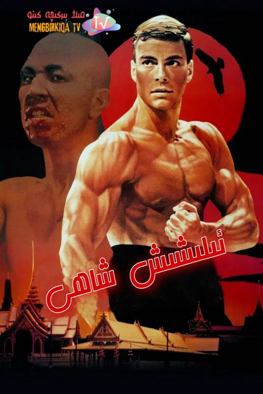 搏击之王（美国1989年Mark DiSalle,David Worth执导的电影）