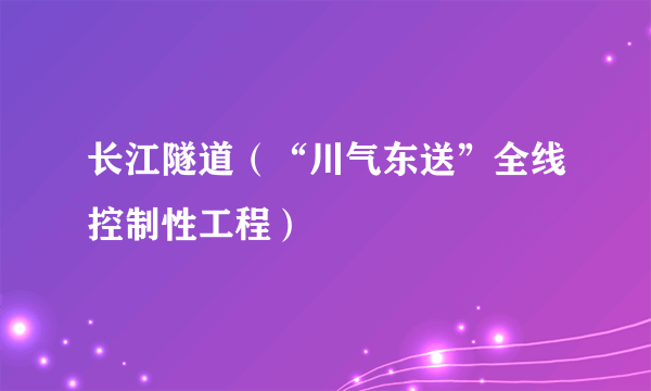 长江隧道（“川气东送”全线控制性工程）