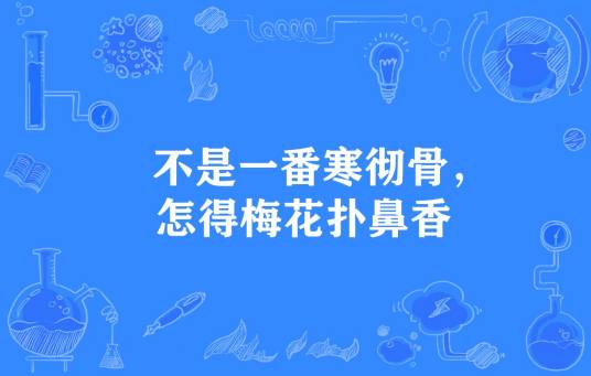 不是一番寒彻骨，怎得梅花扑鼻香