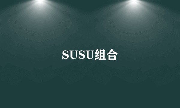 SUSU组合