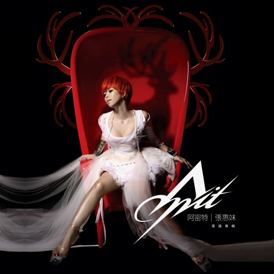 阿密特（2009年张惠妹演唱的歌曲）